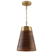 Dodd 1-Light Pendant in Dark Wood and True Brass - Lamps Expo
