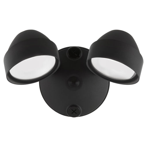 Double 22W LED Outdoor Flood Light in Matte Black