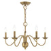 Windsor 5 Light Chandelier in Antique Brass