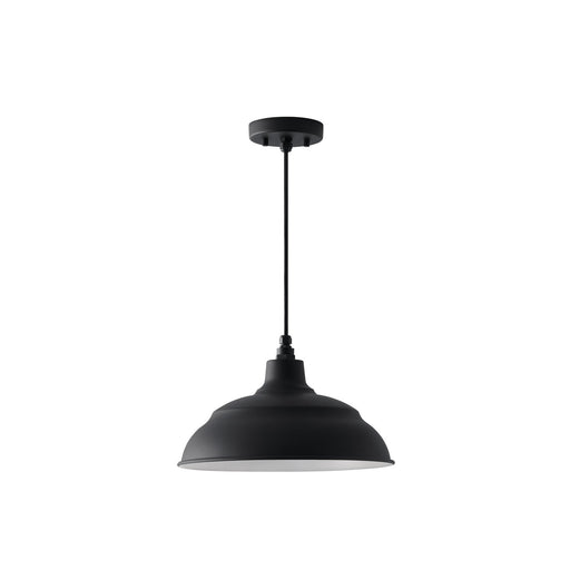 RLM 14" Outdoor Pendant in Black