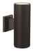 LED Wall Sconce in Black with Clear Glass