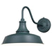 Dorado 12" Outdoor Wall Light in Hunter Green with Inner White