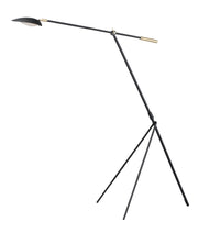 Scan LED Floor lamp in Black & Satin Brass - Lamps Expo