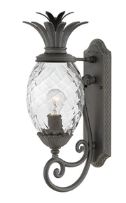 Plantation Medium Outdoor Wall Lantern in Museum Black