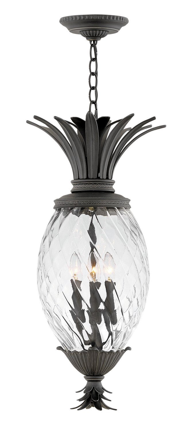 Plantation Outdoor Hanging Lantern in Museum Black