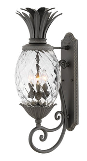 Plantation Large Outdoor Wall Lantern in Museum Black
