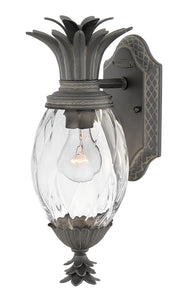 Plantation Small Outdoor Wall Lantern in Museum Black