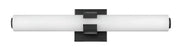 Aiden 23" Bath Vanity Light in Black