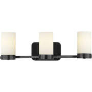 Elevate 3-Light Bath Vanity Light in Black
