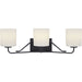 Tobin 3-Light Bath & Vanity Lighting in Black