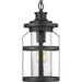 Haslett One Light Hanging Lantern in Black