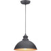 Englewood One Light Hanging Lantern in Black