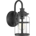 Haslett One Light Wall Lantern in Black
