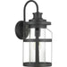 Haslett One Light Wall Lantern in Black