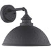 Englewood One Light Wall Lantern in Black