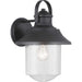 Weldon One Light Wall Lantern in Black