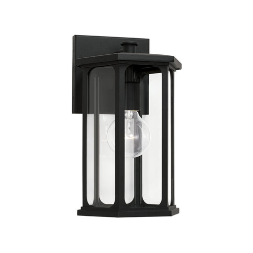Walton Outdoor Wall Lantern in Black