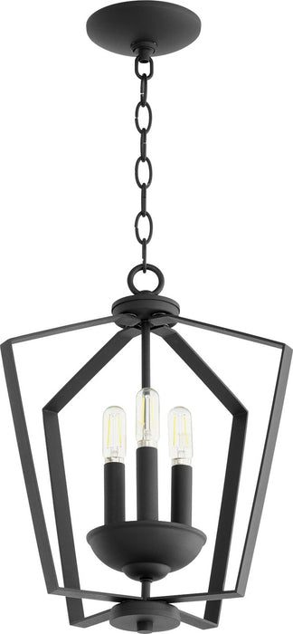 Transitional Entry in Textured Black