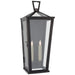 Darlana 2-Light Wall Lantern - Lamps Expo