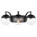 Dixon 3-Light Bath Vanity in Matte Black with Clear Glass
