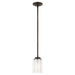 Elmwood Park One Light Mini-Pendant in Bronze