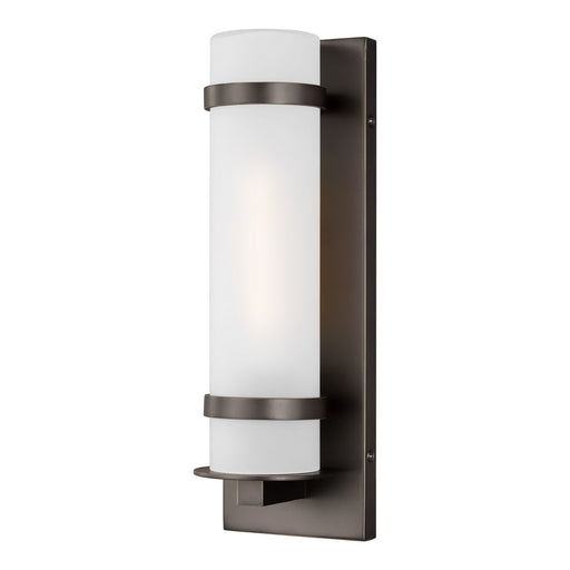 Alban One Light Outdoor Wall Lantern in Antique Bronze