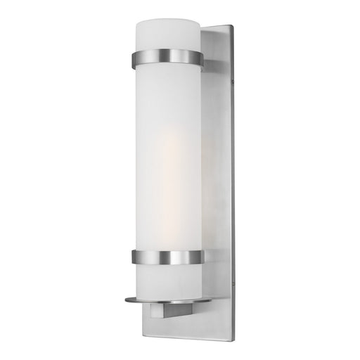 Alban Large Outdoor Wall Lantern 8718301 in Satin Aluminum