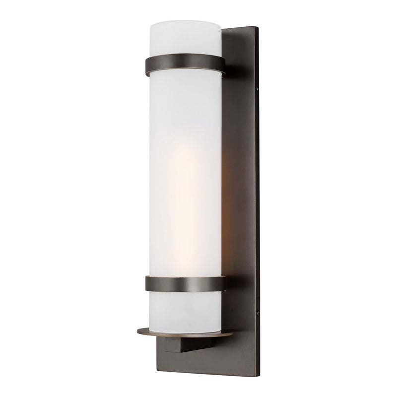 Alban Large Outdoor Wall Lantern 8718301 in Antique Bronze