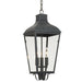 DUM-9805-GE- Dumont 3-Light Chandelier in Graphite by Crystorama