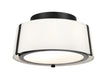 Fulton 2-Light Ceiling Mount - Lamps Expo
