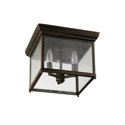 3-Light Antiqued Glass Outdoor Flush Mount in Old Bronze