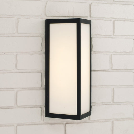 Irvin Outdoor Wall Lantern in Black