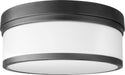 Celeste Transitional Ceiling Mount in Textured Black