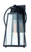 Halder Bridge 1-Light Outdoor Wall Mount in Coal & Clear Seeded Glass