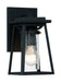 Lanister Court 1-Light Outdoor Wall Sconce in Coal with Gold & Clear Seeded Glass