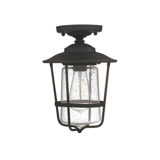 Creekside Seeded Glass Outdoor Semi-Flush Mount in Black