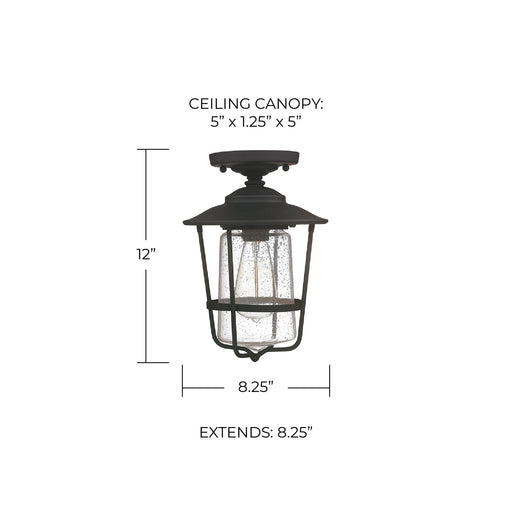 Creekside Seeded Glass Outdoor Semi-Flush Mount in Black
