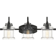 Danbury 3-Light Bath Vanity Light in Earth Black