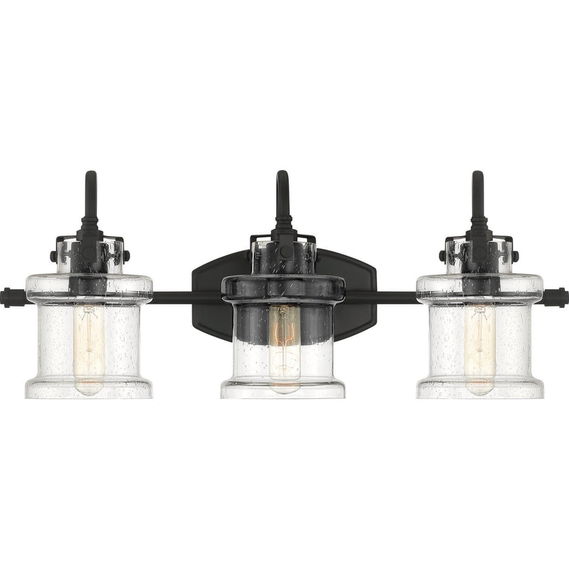 Danbury 3-Light Bath Vanity Light in Earth Black