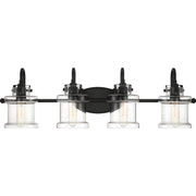 Danbury 4-Light Bath Vanity Light in Earth Black