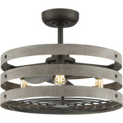 Gulliver 23" Outdoor Ceiling Fan with Light in Graphite
