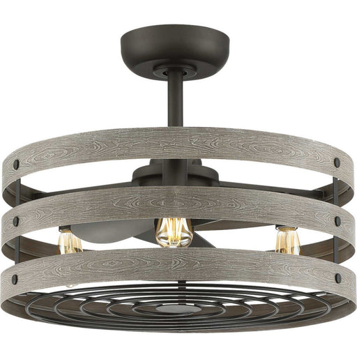 Gulliver 23" Outdoor Ceiling Fan with Light in Graphite