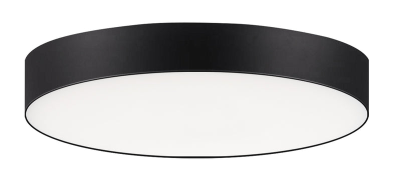 Trim LED Flush Mount in Black