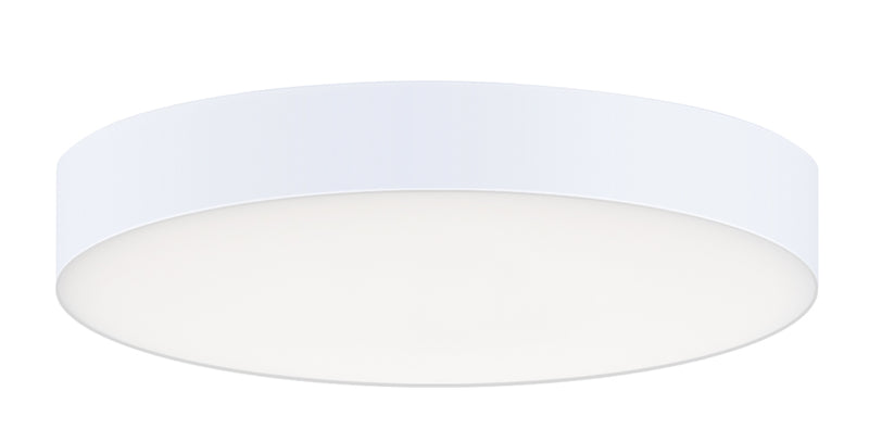 Trim LED Flush Mount in White