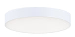 Trim LED Flush Mount in White