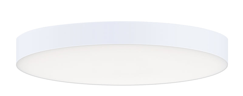 Trim LED Flush Mount in White