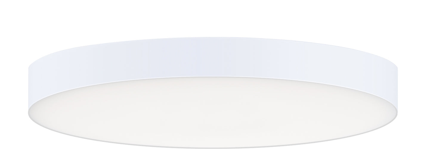 Trim LED Flush Mount in White
