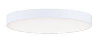 Trim LED Flush Mount in White