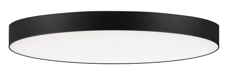 Trim LED Flush Mount in Black
