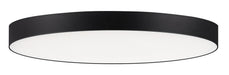 Trim LED Flush Mount in Black
